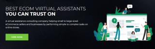 eCom Virtual Assista
