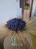 Farma pod pem