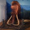 Muzeum st nad Labem 27.5.2017