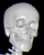 Meneo