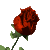 Majdiicka