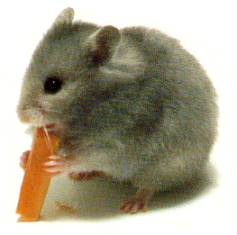 vercag
