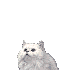 LÁDINA