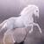 Horse_Girl