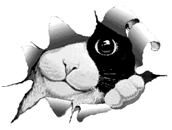 Janisek
