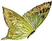 pajuska2190