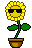 Jitulllka