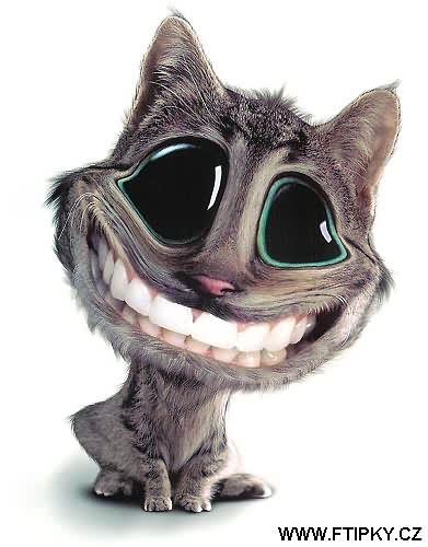 Satorka