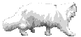 kote.mnau