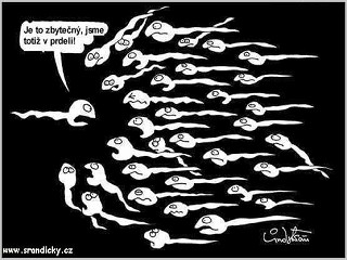 rezetka-milka