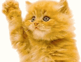 *pawcha*