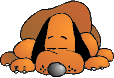 Axi