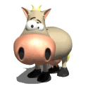 Fidgeras