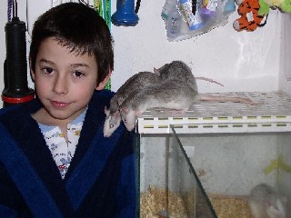 Myšánek Péťa