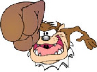 Taz@