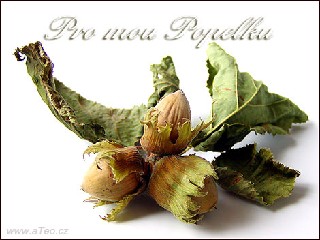 Caarodejka