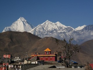 Panterek