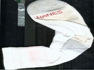 H.A.N.E.S