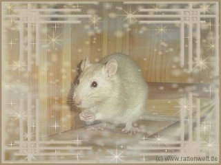 Jingles