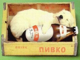 Muclinka