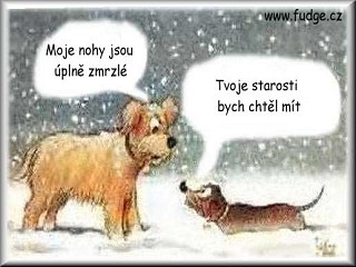 červ