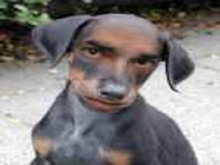 Kalamar.K