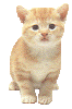 *Siusi*