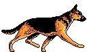 Jirda