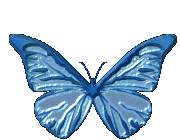 Stonoka