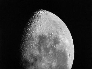 Mistr Moon