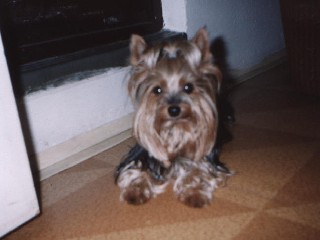 rachel