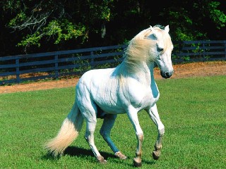 lucinka006