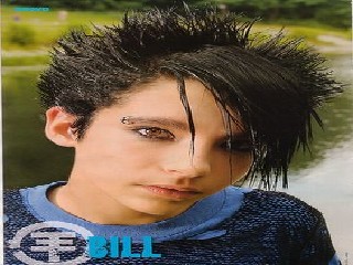 Hanek