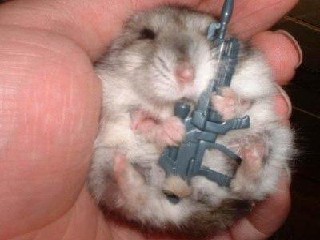 kkolkka