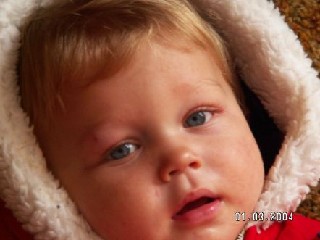 lulucrue