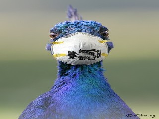 MunzarD