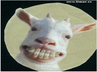Lenina75