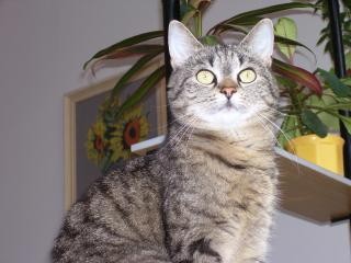 Bety12