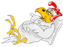 chicken63