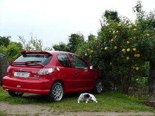 pupik206
