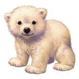 blonda