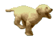 daruspex