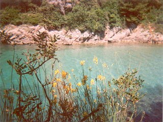 Sabi