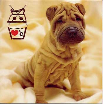 ♥PuPa♥