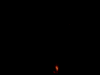 firemaniac