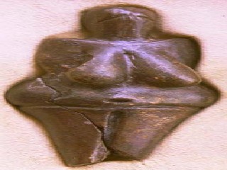 male