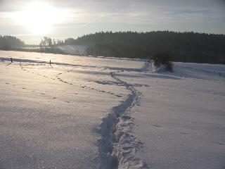 Hanka01