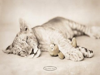 luckycat