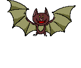 matovirus